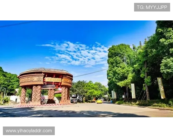 壹号官网登录入口：壹号平台账号注册与登录流程全攻略