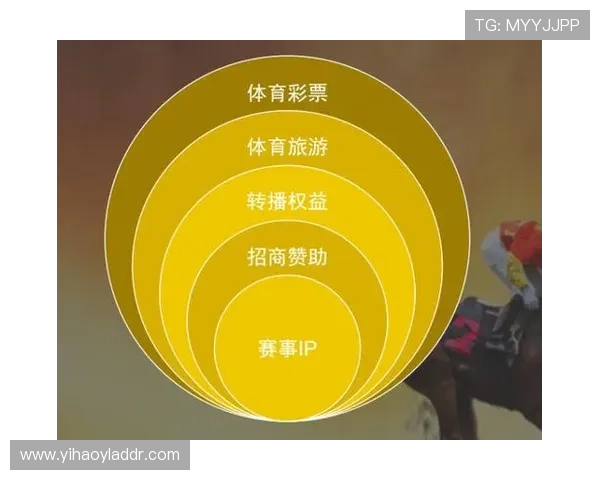 壹号体育app官方最新版下载及详细使用指南帮助用户轻松畅享体育赛事体验