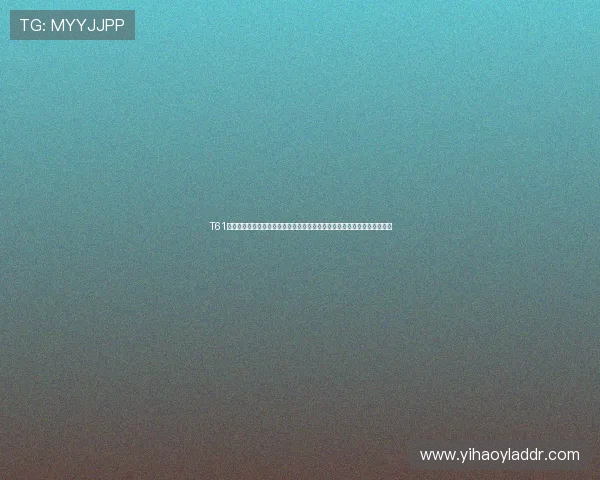 T61高空娱乐项目在世界杯期间的安全措施与体验指南,助你尽享极限运动乐趣 T61高空娱乐项目在世界杯期间的安全措施与体验指南,助你尽享极限运动乐趣
